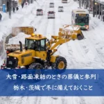 大雪のなか除雪作業が行われる市街地の道路